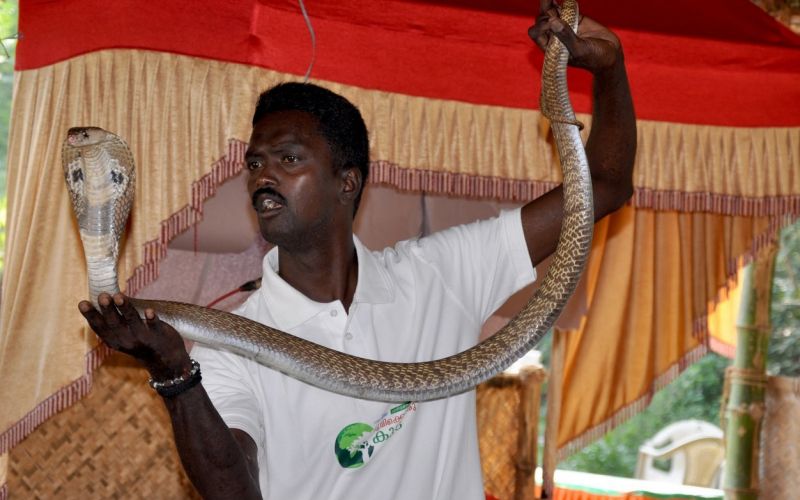 Vava Suresh.jpg