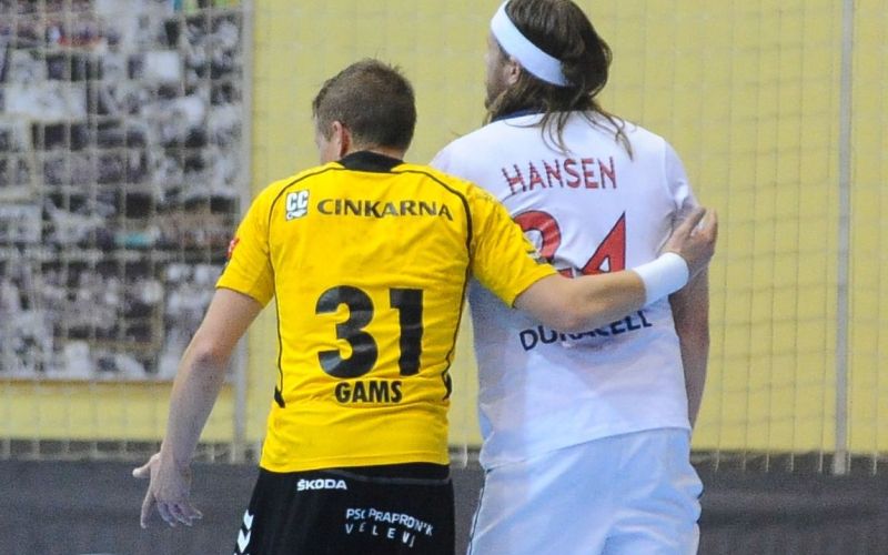 gams in hansen.jpg