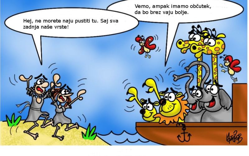 karikasdfsdftura.jpg