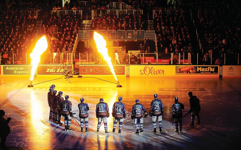 medvescak.jpg