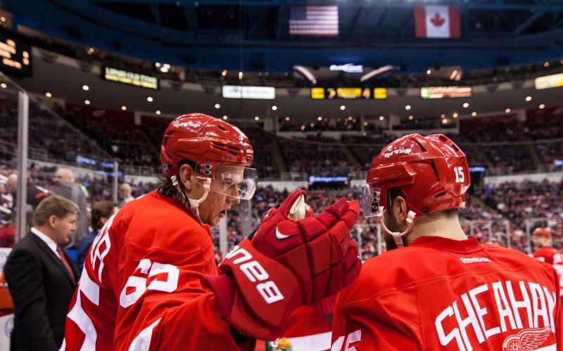 detroit red wings.jpg