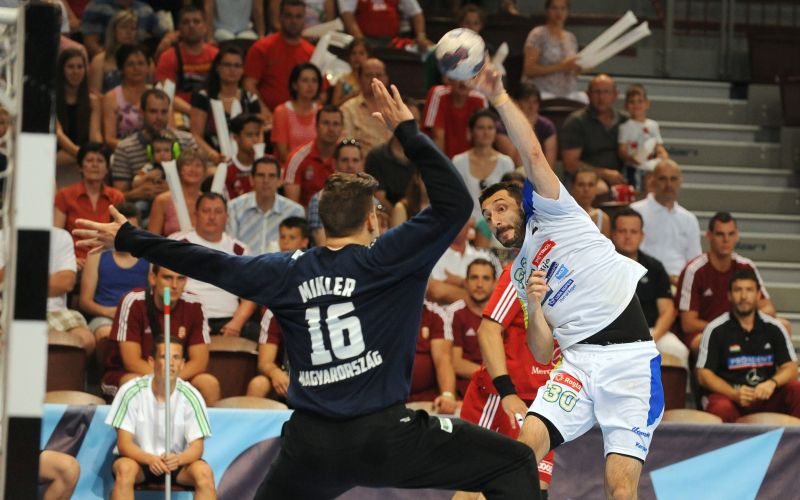 dragan gajic nm.JPG