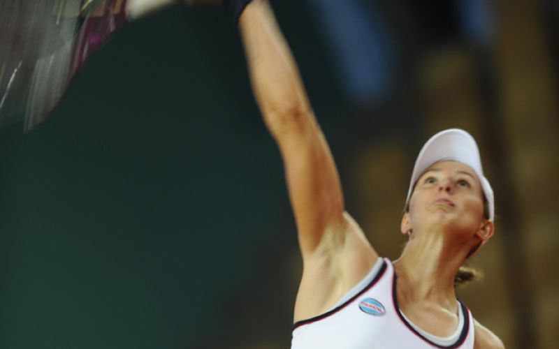 hercog gw.JPG