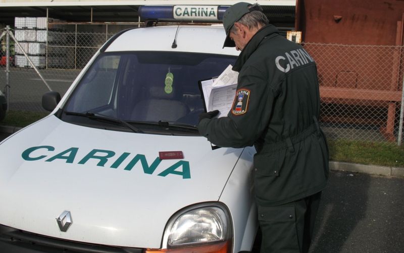 carina
