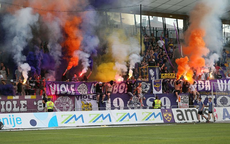 viole.jpg