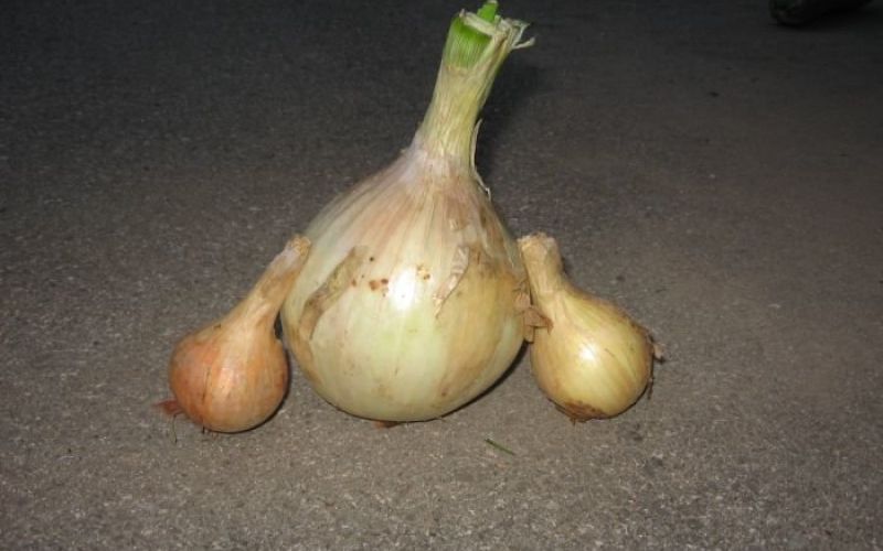 slika_022.jpg