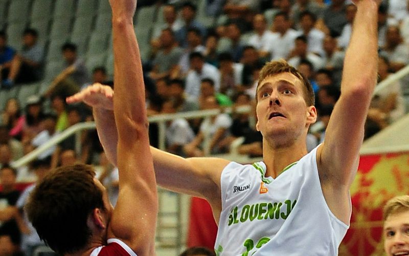 dragic zoran profi.jpg