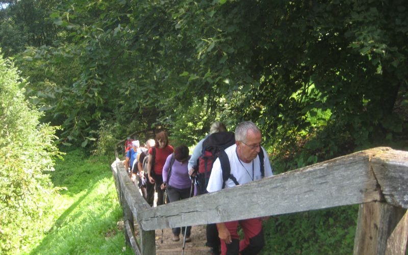d_gorjanci_001.jpg