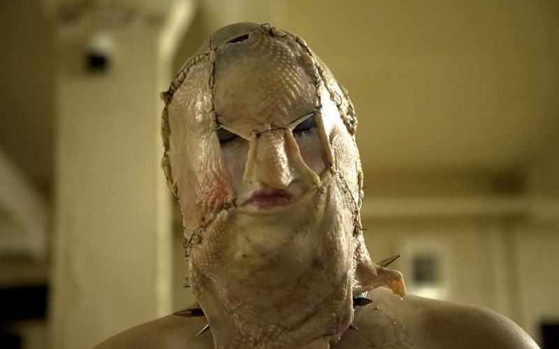 Piščančja koža 1.jpg
