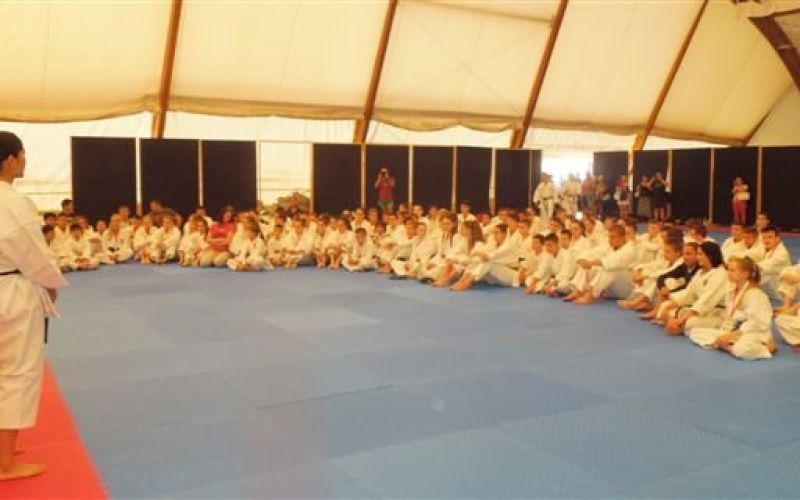 z_karate_l001.jpg
