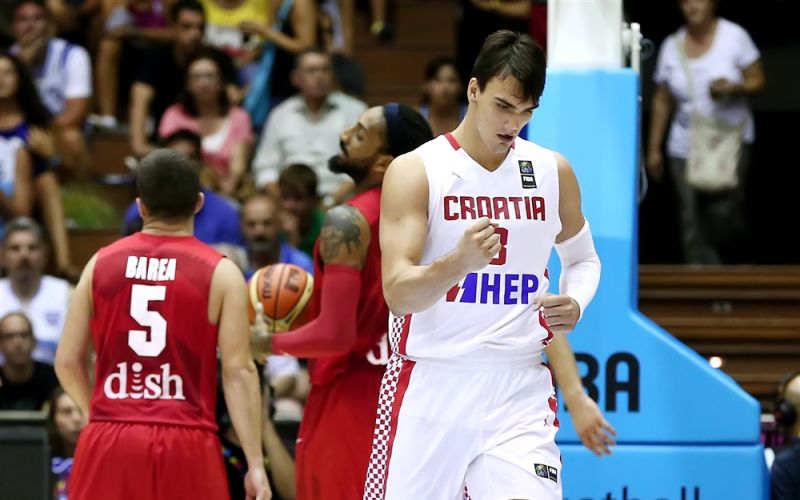 saric.jpg