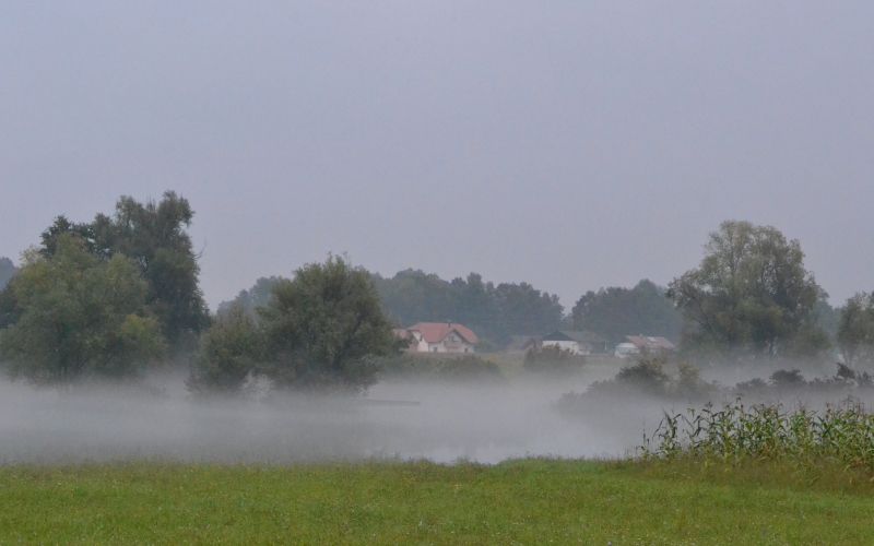 dsc_0054_000.jpg