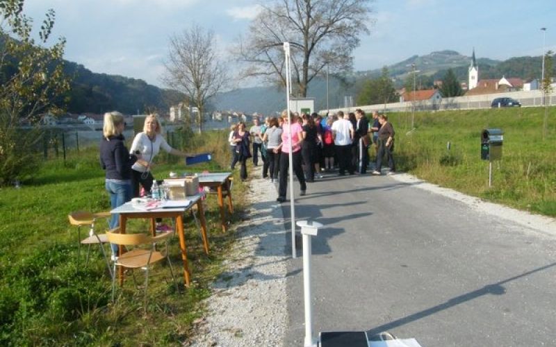u_hoja_001.jpg