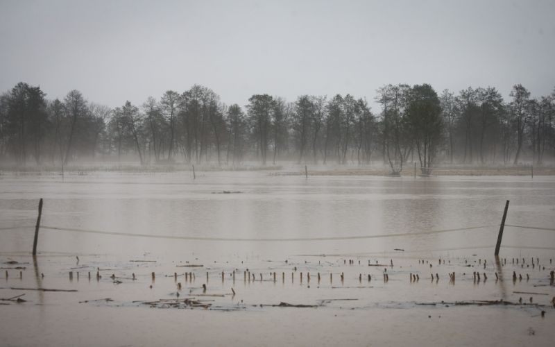 poplave iška3.jpg