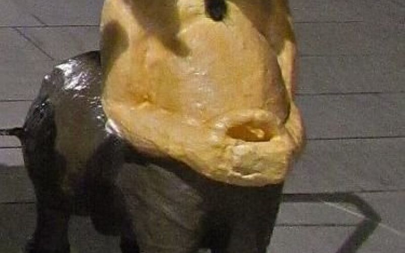 oslovozicek_zoran.jpg