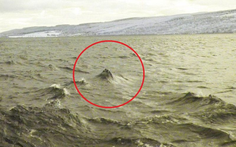 Nessie.jpg