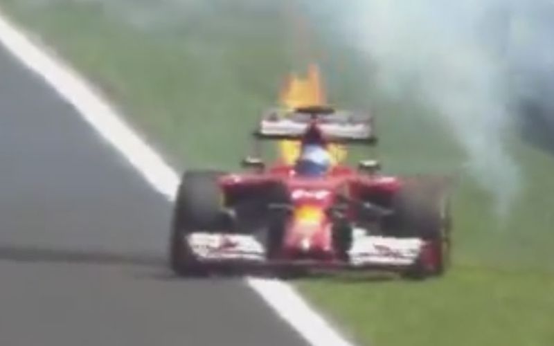 alonso vszi.jpg