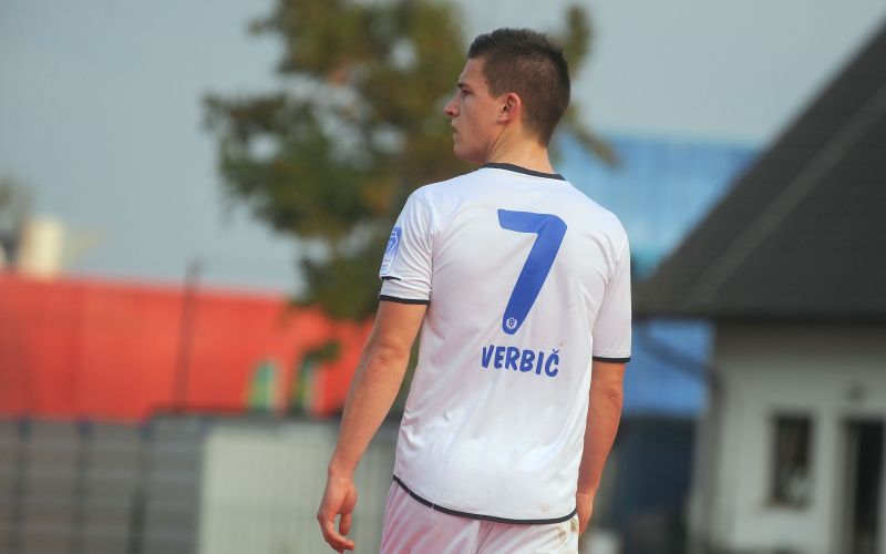 765-7-verbic (obrez) nm.jpg