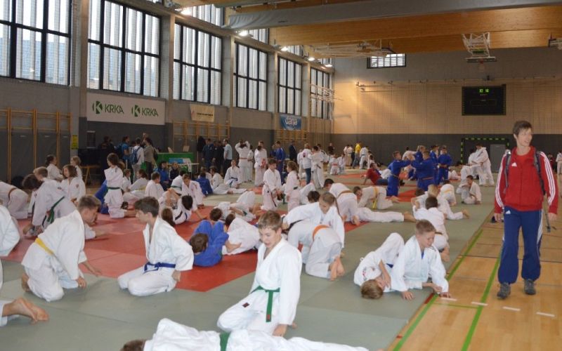 tekma_judo_01.jpg