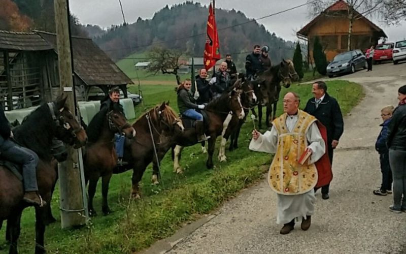 konjenica_01.jpg