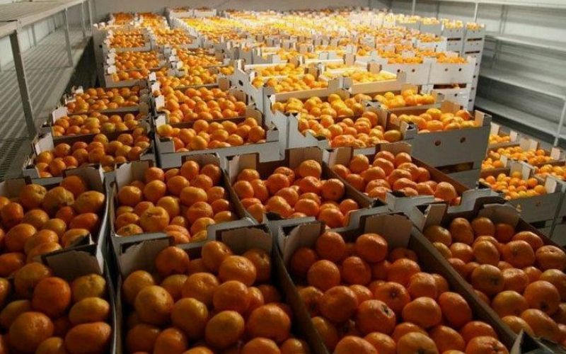mandarine.jpg