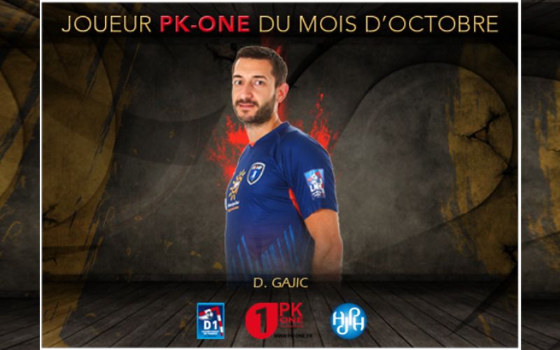 dragan gajic.jpg