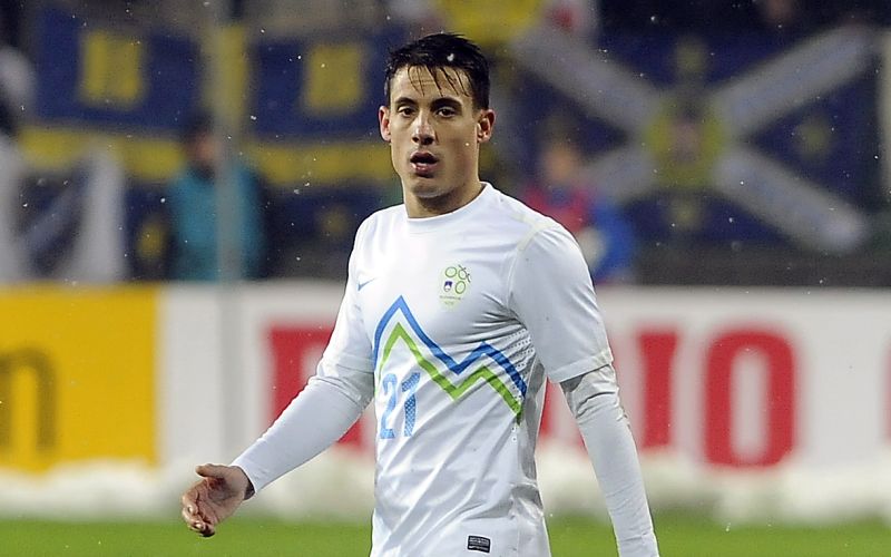 774-3-cvijanovic.JPG