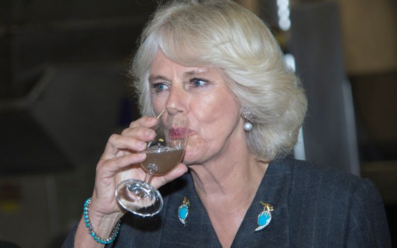 Camilla Parker Bowles.jpg