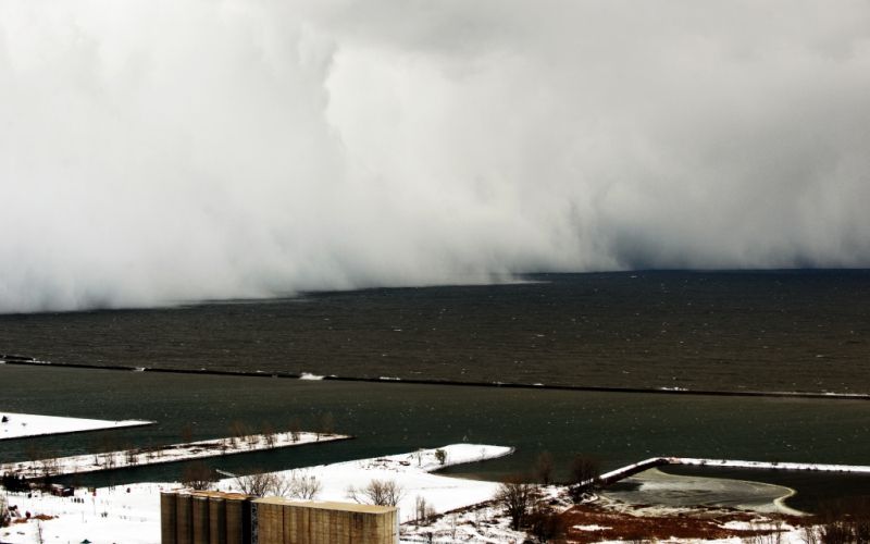 buffalo.jpg