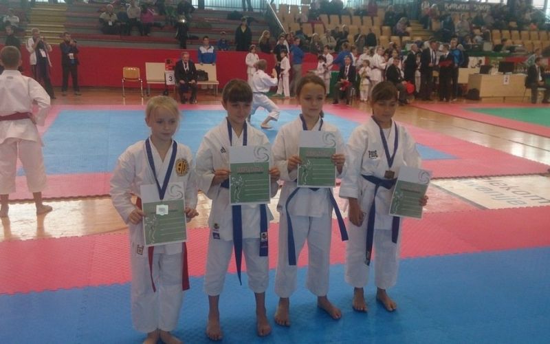 v_karate_01.jpg