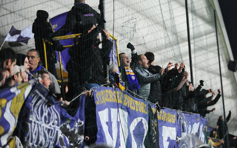 viole.jpg