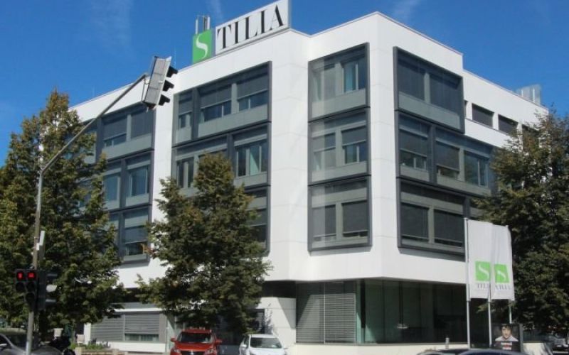 tilia_mz.jpg