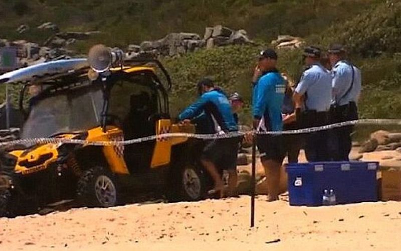 plaža, sydney.jpg