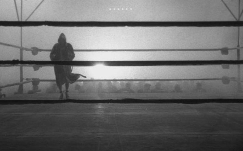 raging bull.jpg
