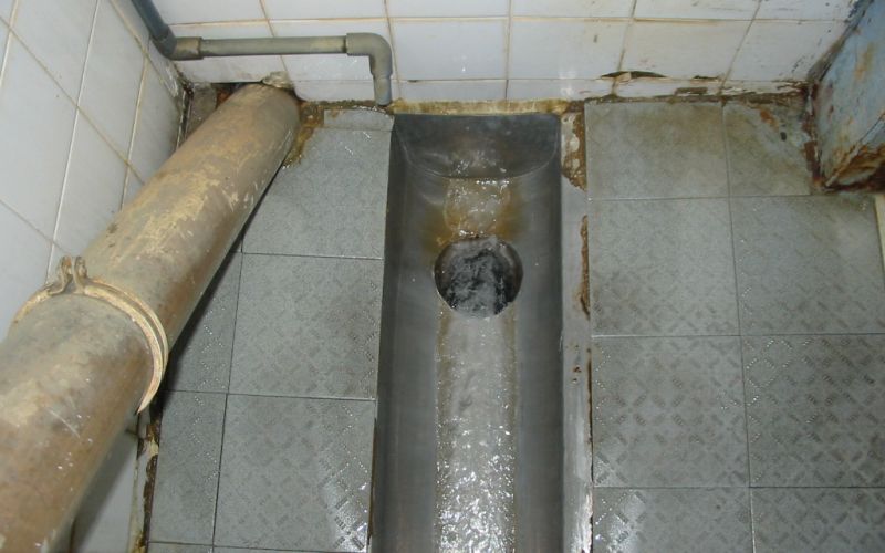 stranisce strbunk 2.jpg