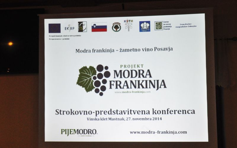 modro_010.jpg