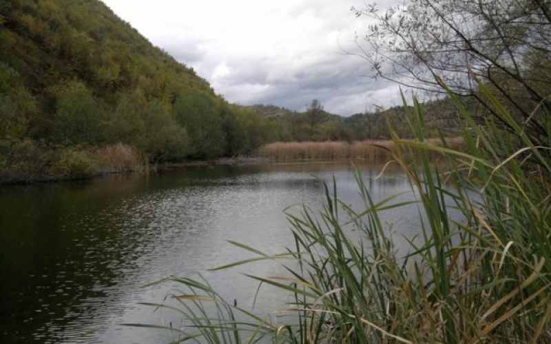 uvodna