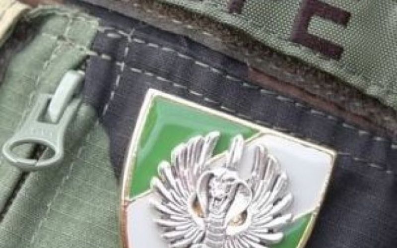 kobra specialna enota