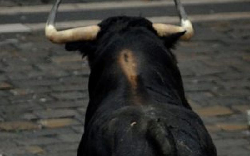 pamplona_bik_re.JPG