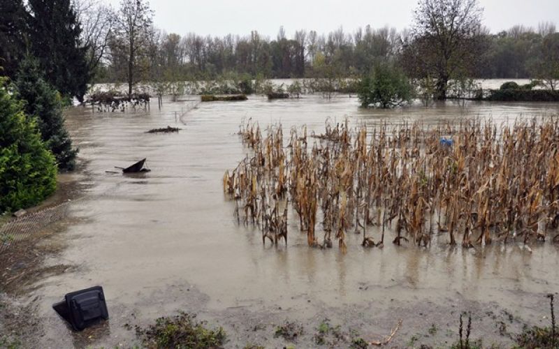 poplave_bobo_06.11.12.jpg
