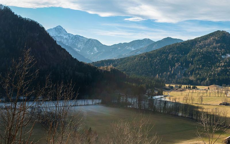 jezersko gora hrib gozd.jpg