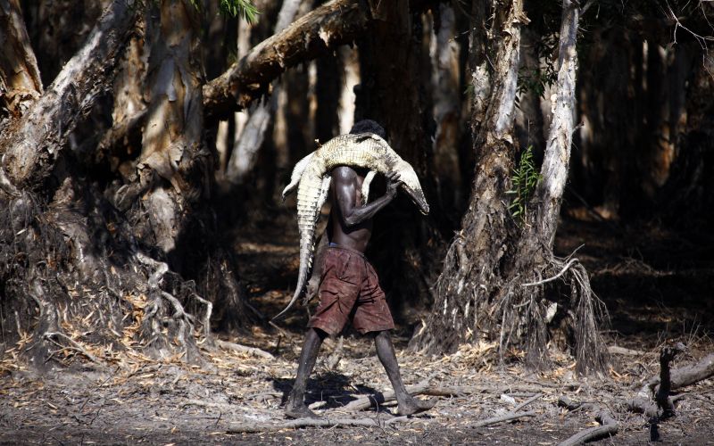 aborigini aboridzini avstralija staroselci lovec krokodil.jpg