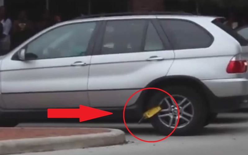 bmw lisica.jpg