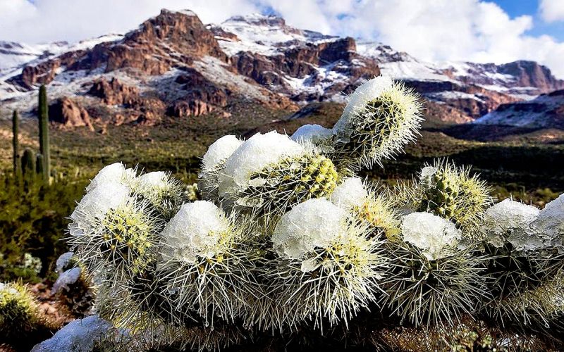 sneg, arizona.jpg