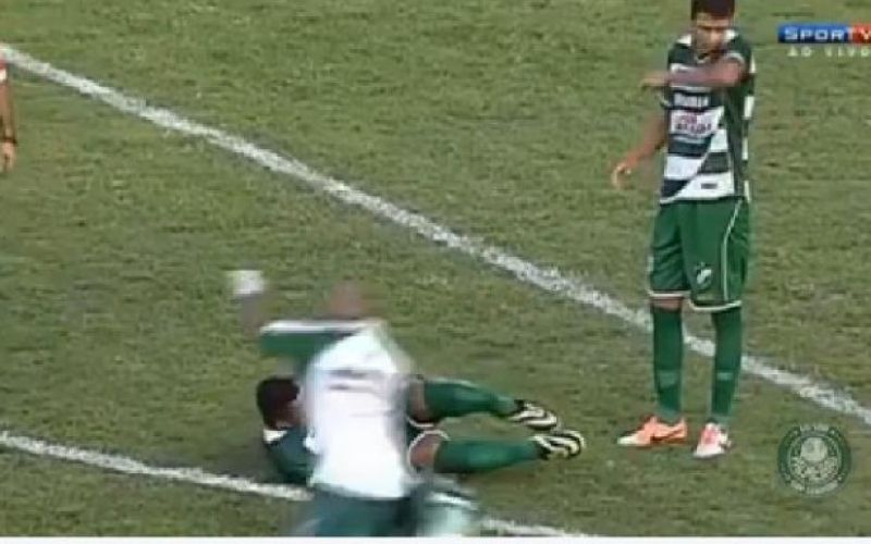 murici palmeiras.jpg