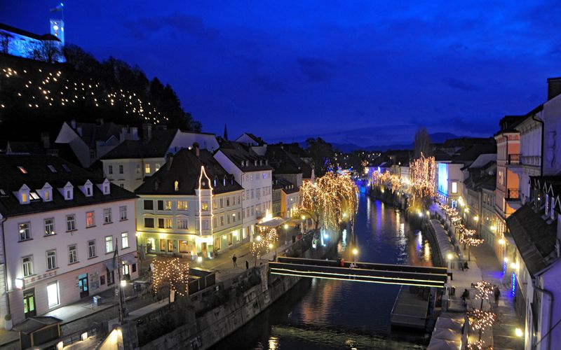december-nosilna-d.wedam.jpg