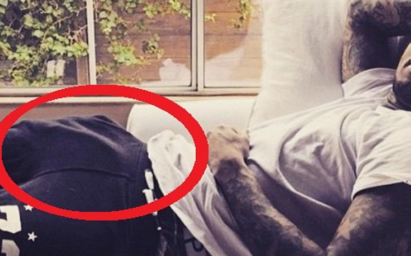 chris brown penis.jpg