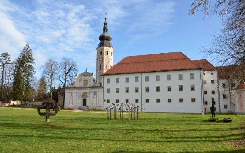 Samostan, Kostanjevica 1