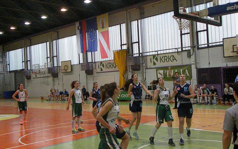v_kosarka_01.jpg