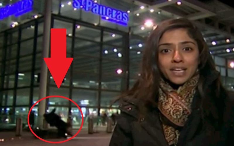 nesreča motorist velika britanija skuter.jpg